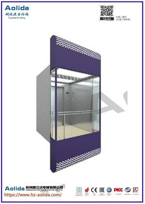 مصعد زجاجي VVVF MRL جودة المانية